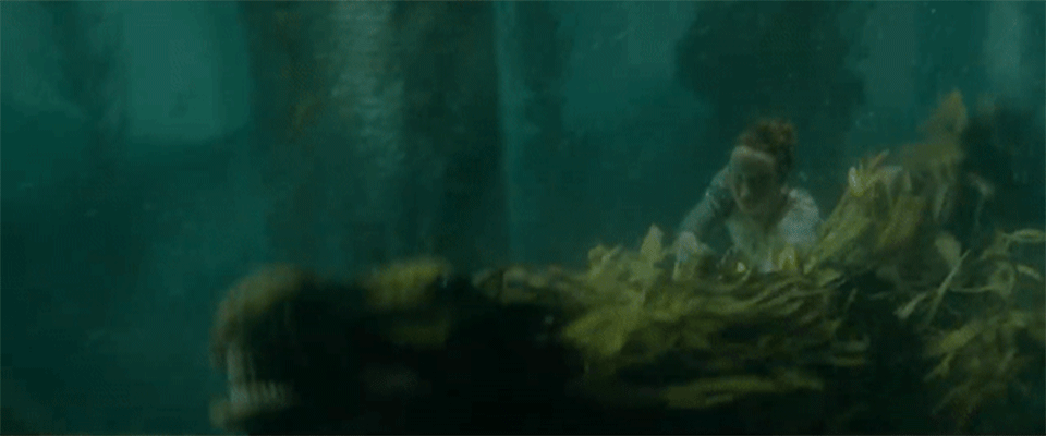 bruno-camara-animais-fantasticos-kelpie2