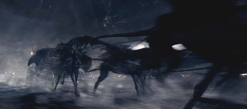 tumblr_pcah80rdlo1rzoznmo3_500