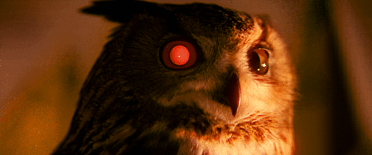 Blade Runner – a timeless&nbsp;classic