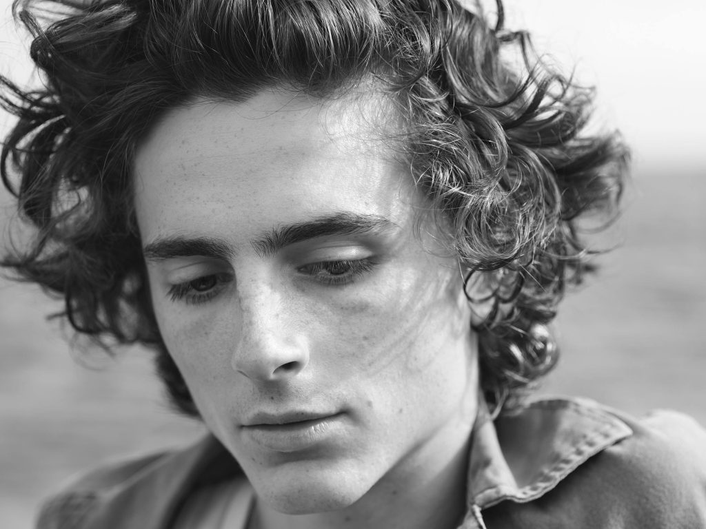 Timothée Chalamet: actor of a&nbsp;generation